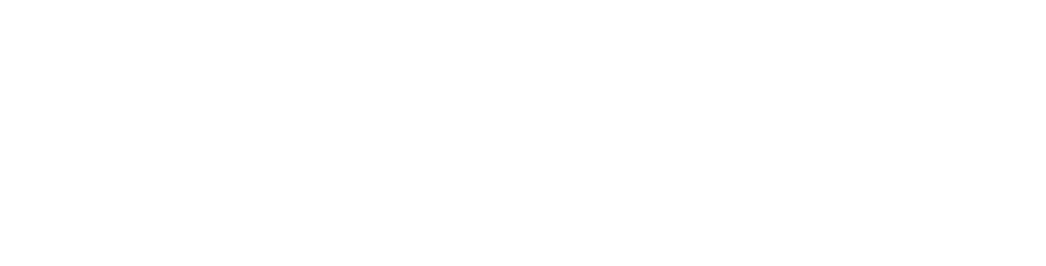 Newcombe Zimmerman Group
